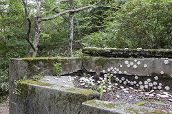 月原麻友美／海、山へ行く