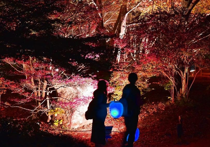 Rokko Alpine Botanical Garden