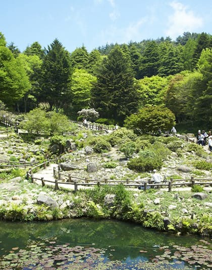 Rokko Alpine Botanical Garden