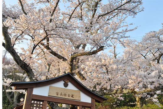 Arima View Hotel Urara_Taiko no yu