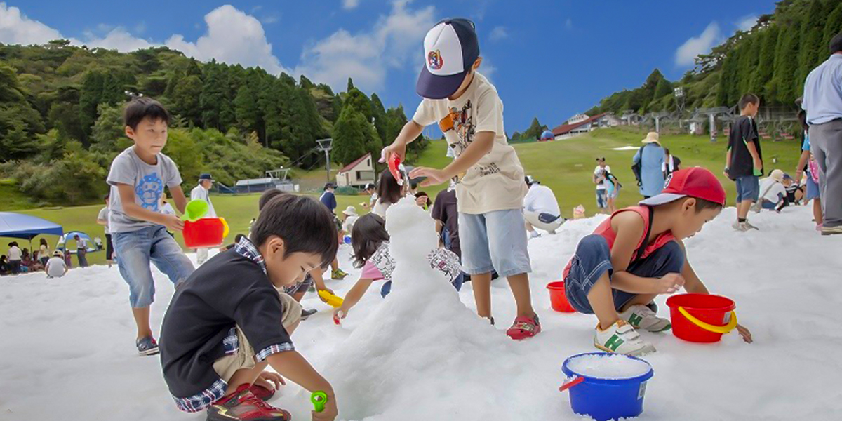 summer model_course