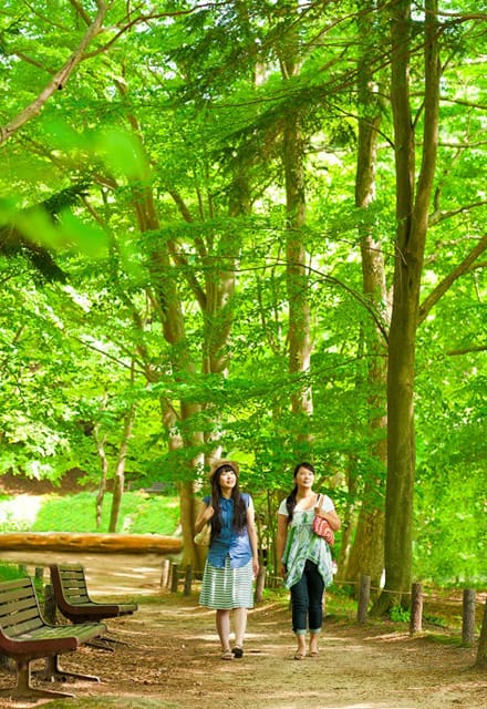 Rokko Alpine Botanical Garden