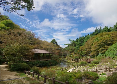 Rokko Alpine Botanical Garden