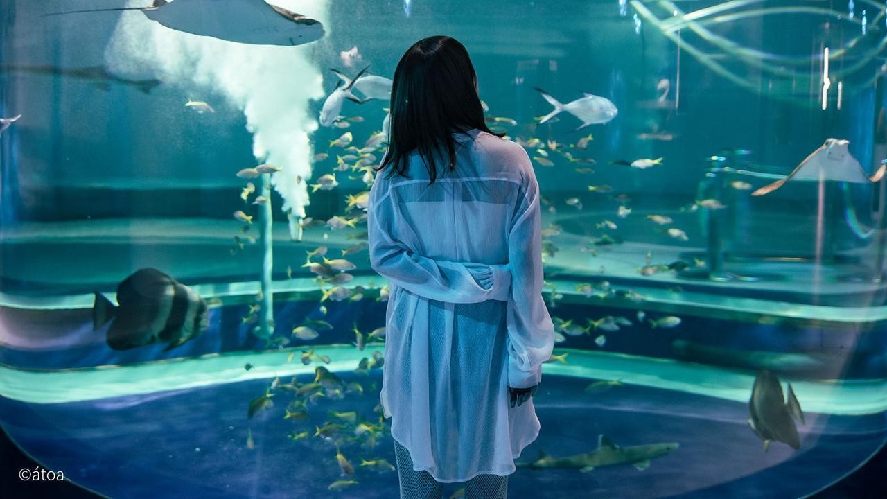 AQUARIUM ✕ ART átoa(アクアリウム バイ アート アトア)