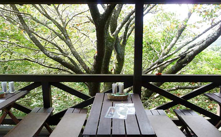 Mountain Cottage Cafe Edelweiss