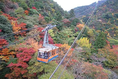 Tenran Observatory