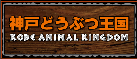 神戸どうぶつ王国