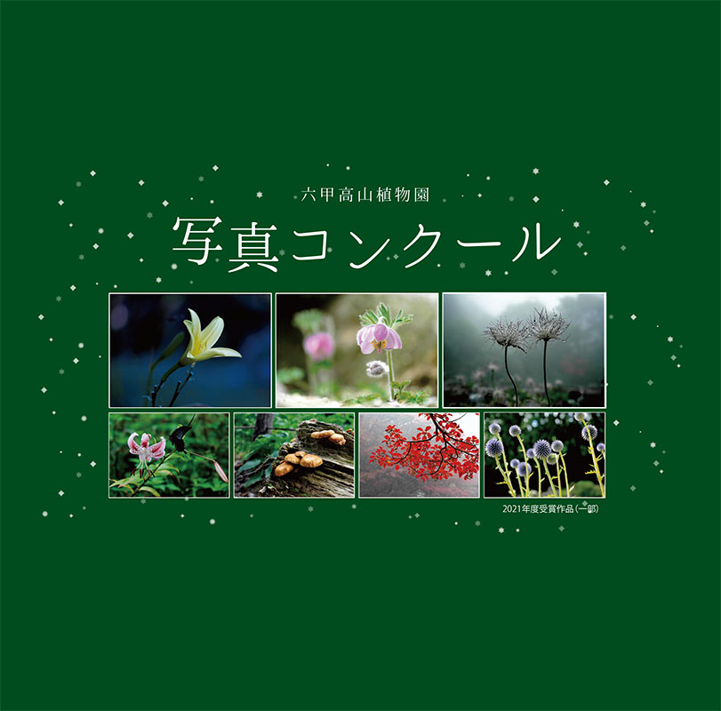 【9/1~作品募集中！】2022年度　写真コンクール開催のおしらせ