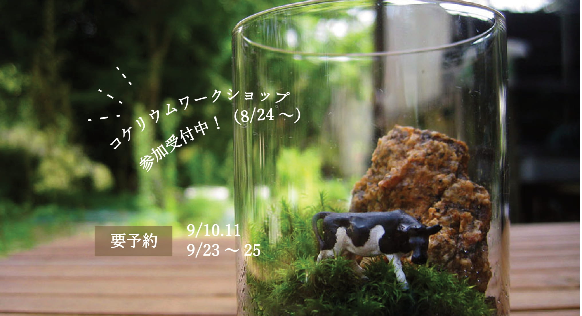 【予約受付中】コケリウムワークショップ