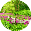六甲高山植物園