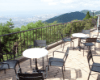 TENRAN CAFE